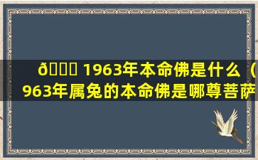 🐕 1963年本命佛是什么（1963年属兔的本命佛是哪尊菩萨）